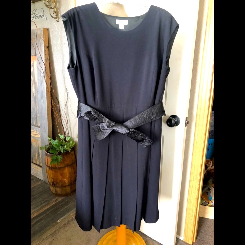 Women’s Plus Size Dress